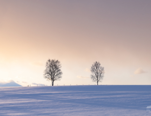 娘との再会を待つ