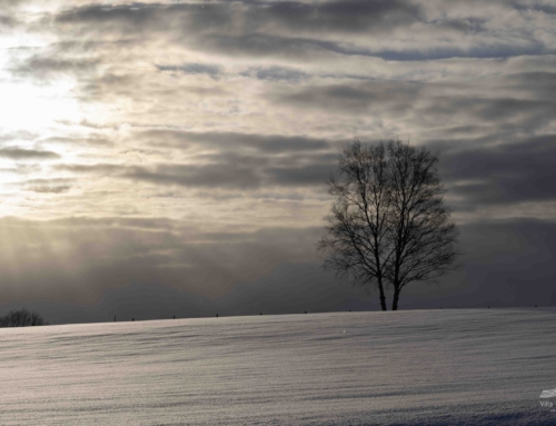 口から先に生まれて来た男