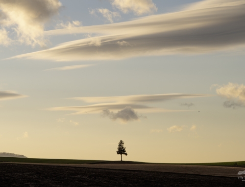 『幸せになる』とは